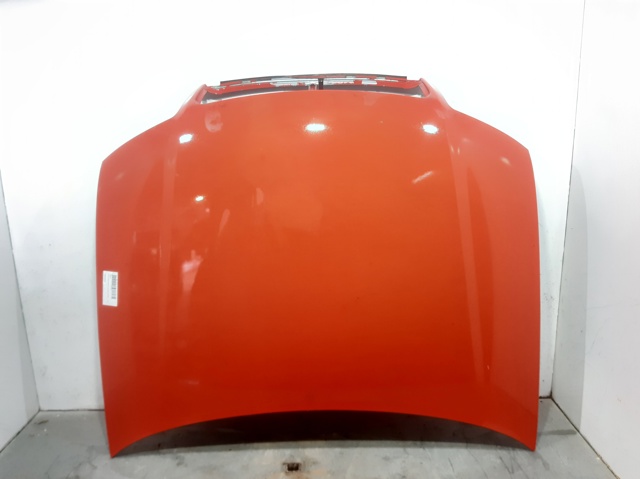 Capot Audi A4  (8E2)
