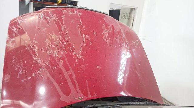 Capó para Audi A4 8E2