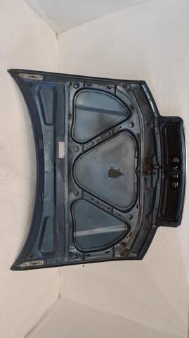 8E0823029 VAG Capó  en stock Córdoba