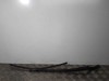 Brazo del limpiaparabrisas, delantero 8E1955407C VAG