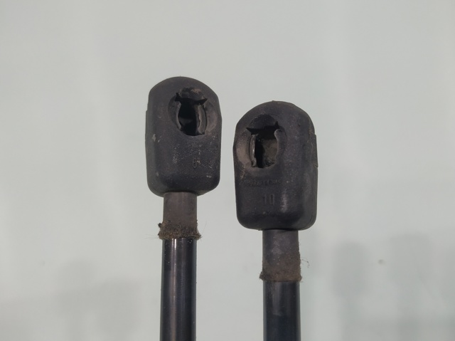 Amortiguadores de maletero Audi A4  (8EC)