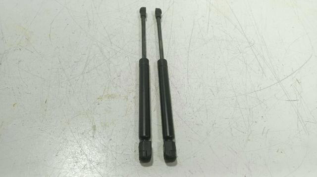 Muelle neumático de capó de motor para Audi TT (8J9)