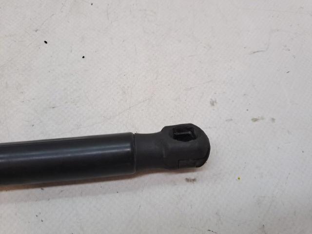 VAG 8P0823359B Amortiguador de capó  comprar en Albacete