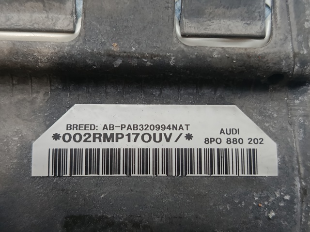 8P0880202 VAG