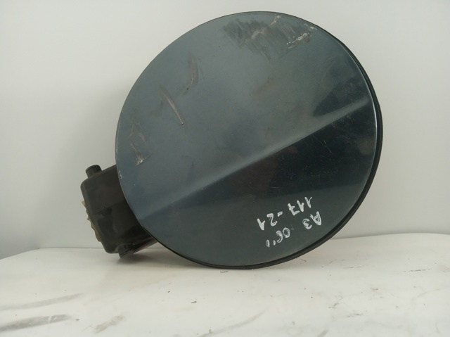 8P4809999 VAG