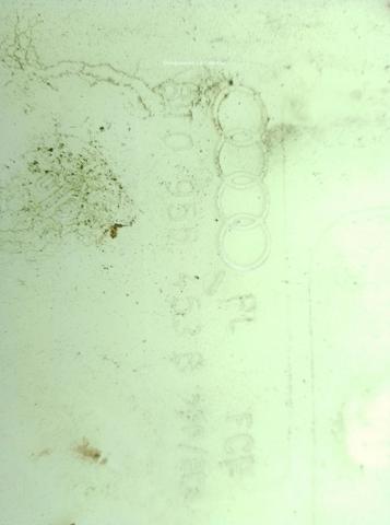 Depósito del agua de lavado, lavado de parabrisas Audi A4 8K2