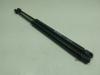 Muelle neumatico maletero Audi A5 Sportback