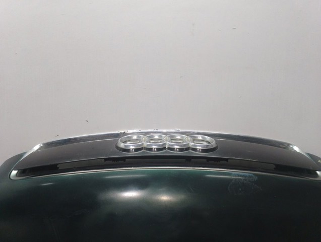 VAG 8Z0823029C Capó  comprar en Murcia