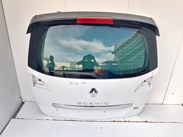 901001385R Renault (RVI)