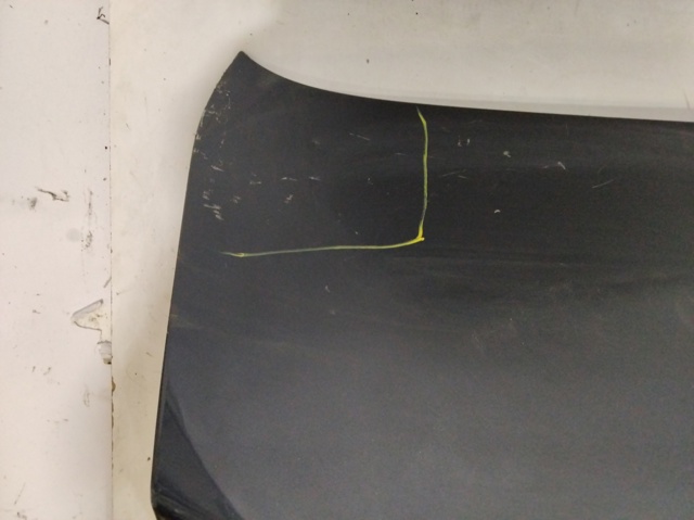 901006068R Renault (RVI)
