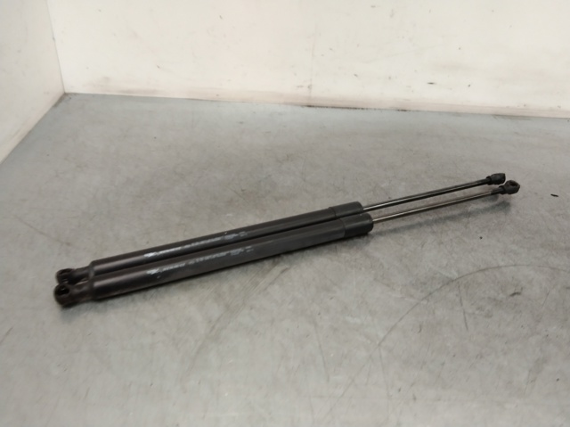 904500004R RENAULT Amortiguador maletero comprar Madrid