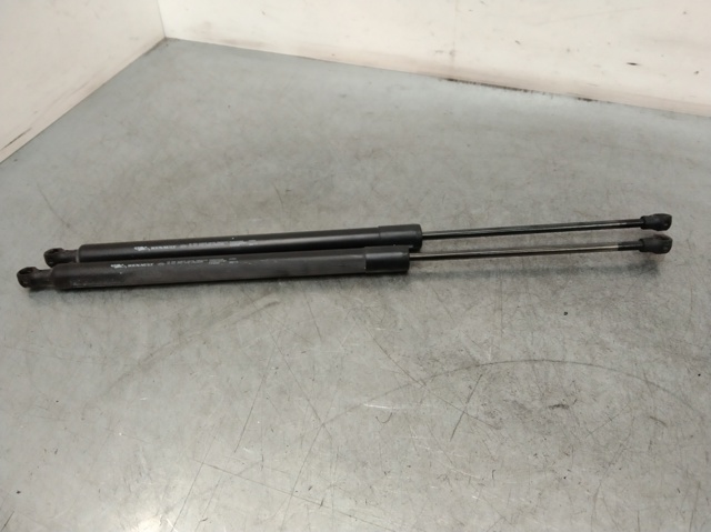 904500004R RENAULT Amortiguador de la tapa del maletero  disponible Ourense