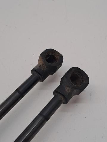 904502915R RENAULT Amortiguador de la tapa del maletero  disponible Alicante