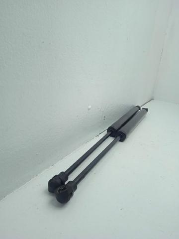 904502915R Amortiguador maletero  en stock Sabadell