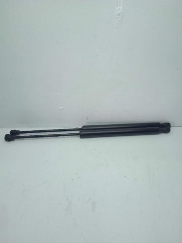 904502915R RENAULT Amortiguador de la tapa del maletero  comprar en Oviedo