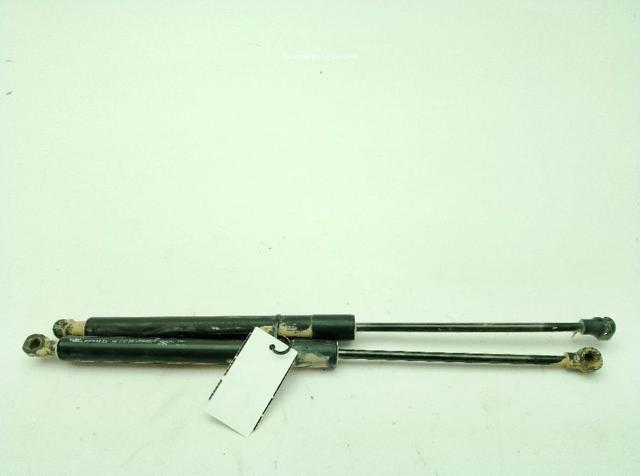 904502915R Amortiguador de la tapa del maletero  comprar en Reus