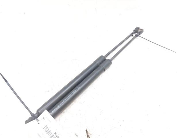 904502915R Amortiguador maletero comprar Almería