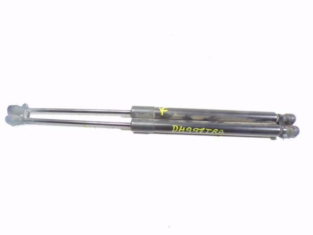 904502915R Amortiguador maletero  en stock Granada