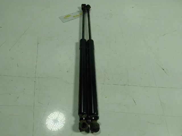 904502915R RENAULT Amortiguador de la tapa del maletero  disponible Alicante