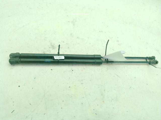 904504EA0A NISSAN Amortiguador de la tapa del maletero  comprar en Jaén