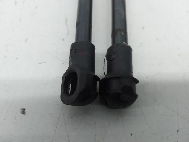 904504EA1A NISSAN Amortiguador de la tapa del maletero  comprar en Oviedo