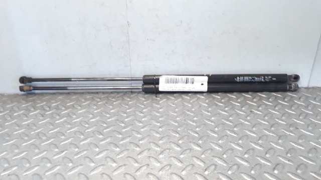 904505599R RENAULT Amortiguador de la tapa del maletero  disponible Vigo
