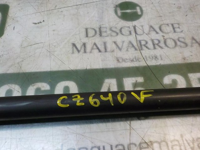 RENAULT 904505599R Amortiguador de la tapa del maletero  comprar en Murcia