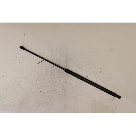 904505599R Amortiguador de la tapa del maletero  comprar en Zaragoza