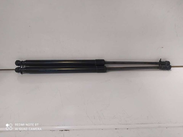 904505FA1A NISSAN Amortiguador maletero  en stock Córdoba