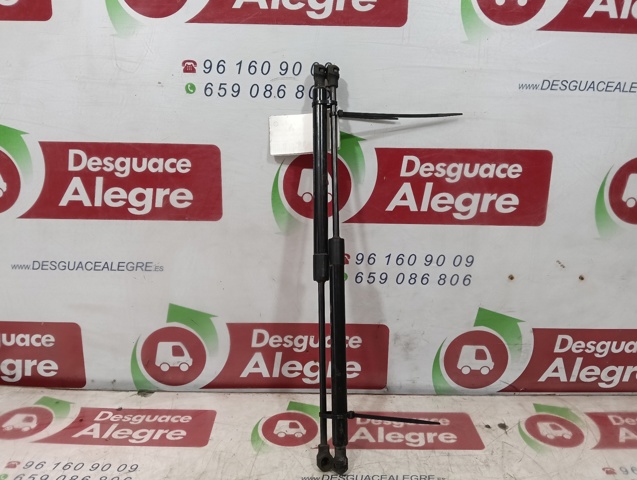 RENAULT 904507649R Amortiguador de la tapa del maletero  comprar en Murcia