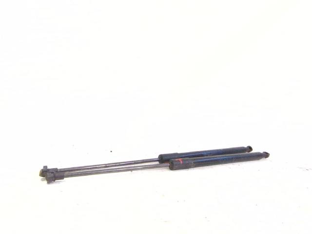 Amortiguador de maletero 904509291R RENAULT