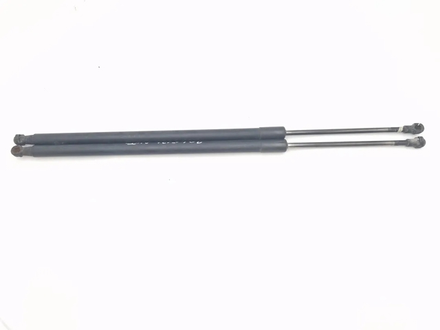 904509U00A NISSAN Amortiguador de la tapa del maletero  disponible Ourense