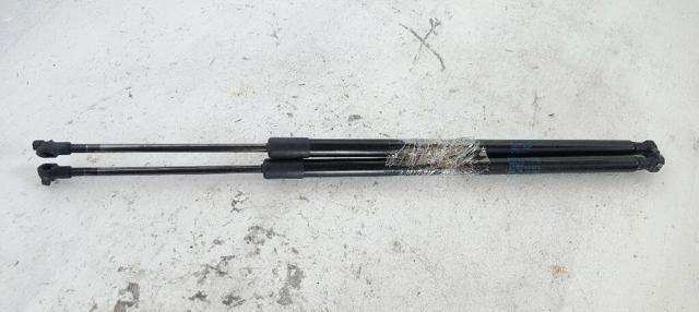 904509U00C NISSAN Amortiguador maletero  en stock Huelva