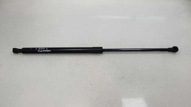 Amortiguador maletero 904511213R RENAULT