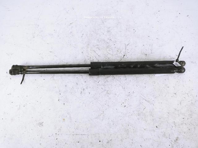 Amortiguadores de maletero 904511213R RENAULT