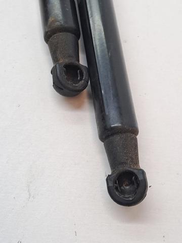 904511213R RENAULT Amortiguador de la tapa del maletero  comprar en Lleida