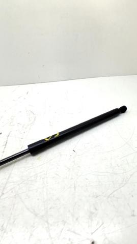 904511213R RENAULT Amortiguador de la tapa del maletero  comprar en Jaén
