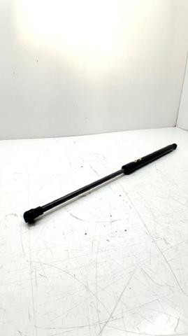 904511213R Amortiguador de la tapa del maletero  disponible Burgos