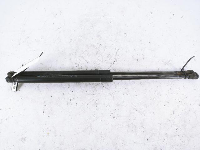 904511213R Amortiguador de la tapa del maletero  disponible Burgos