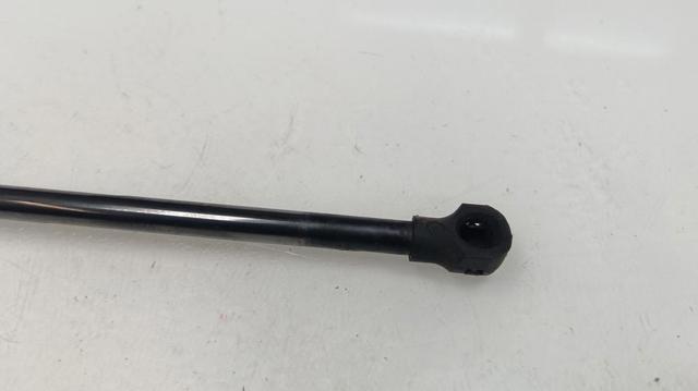 904511213R RENAULT Amortiguador de la tapa del maletero  comprar en Lleida
