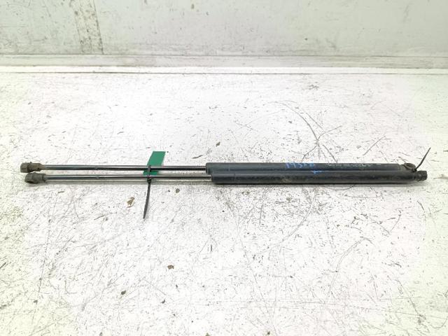Amortiguador de puerta trasera 904513981R RENAULT