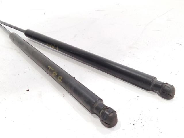 904513981R RENAULT Amortiguador de la tapa del maletero  comprar en Jaén