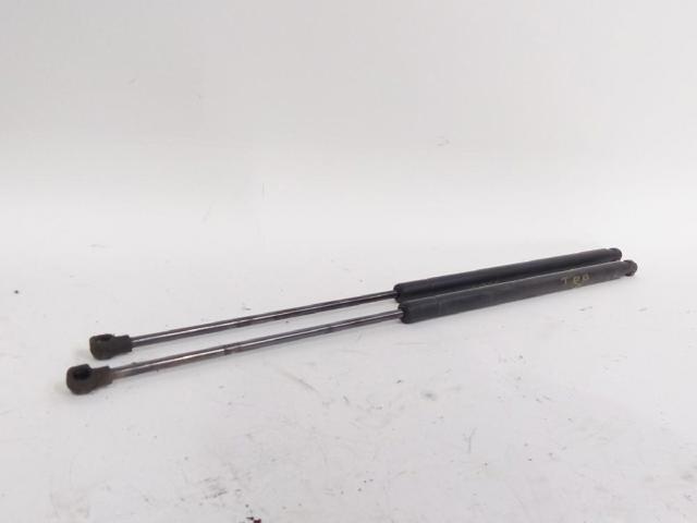 904513981R Amortiguador de la tapa del maletero  comprar en Zaragoza