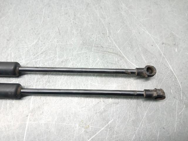 904514584R RENAULT Amortiguador de la tapa del maletero  comprar en Jaén