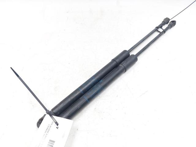 RENAULT 904514584R Amortiguador de la tapa del maletero  comprar en Ponferrada