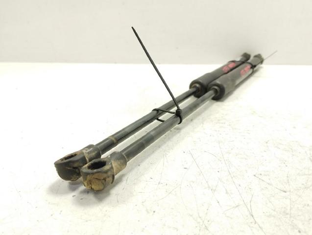 904514584R RENAULT Amortiguador maletero  en stock Huelva
