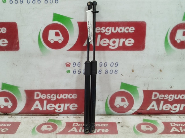 RENAULT 904514584R Amortiguador maletero  en stock Terrassa