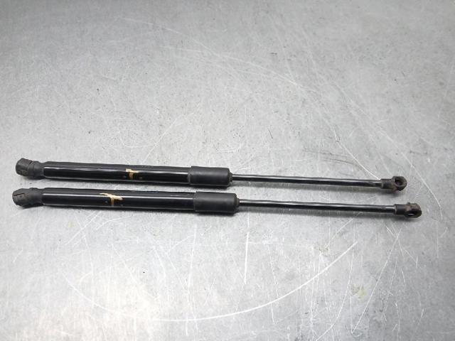 904514584R Amortiguador de la tapa del maletero  comprar en Zaragoza