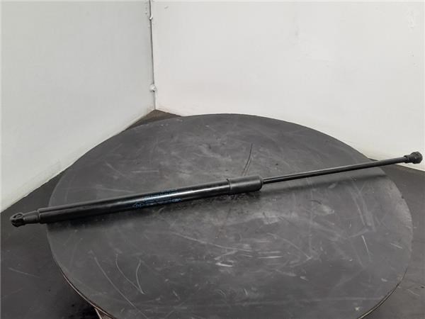904515874R RENAULT Amortiguador de la tapa del maletero  disponible Ourense
