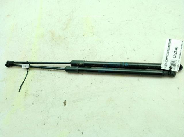 904515874R RENAULT Amortiguador de la tapa del maletero  comprar en Jaén